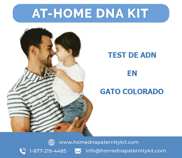 Test de ADN en Gato Colorado